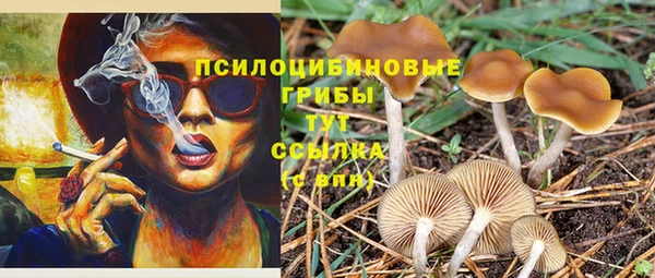 PSILOCYBIN Горно-Алтайск